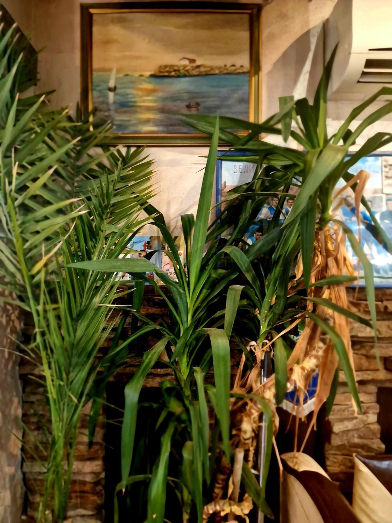 Family Hotel Four Seasons Tsarevo Ngoại thất bức ảnh