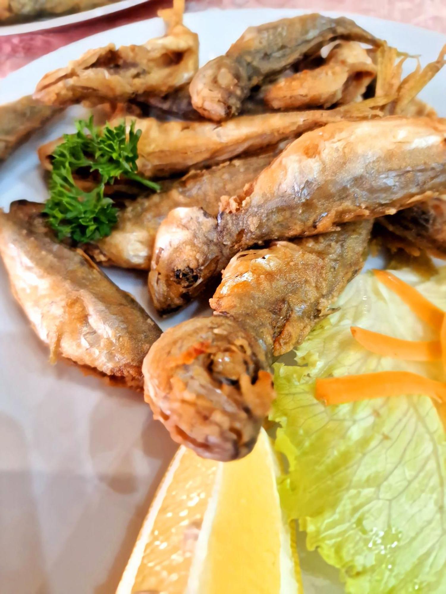 Family Hotel Four Seasons Tsarevo Ngoại thất bức ảnh